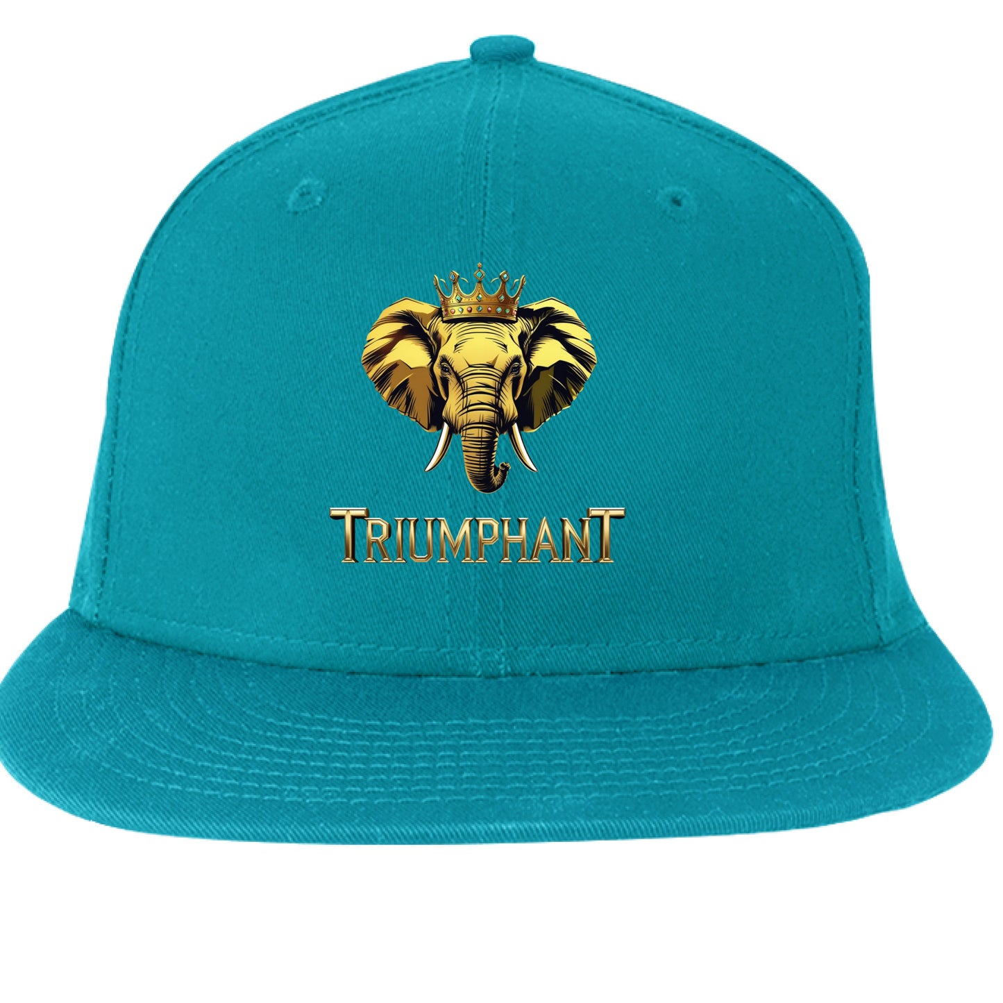 Shark Teal - FRONT